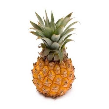 Baby Pineapple